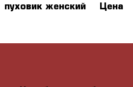 пуховик женский  › Цена ­ 800 - Челябинская обл., Челябинск г. Одежда, обувь и аксессуары » Женская одежда и обувь   